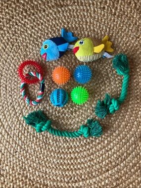Set of 9 dog toys: 4 balls, 2 ropes, 2 fish, 1 rope w/ ring. Gently used.